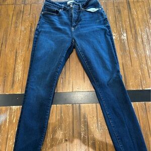 LOFT Deep Indigo Skinny Jeans